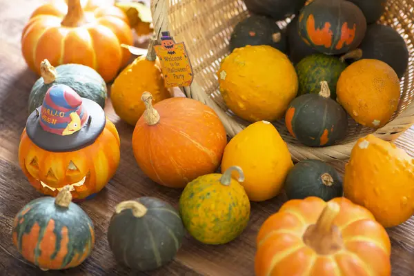 Composición Otoño Con Calabazas Para Halloween —  Fotos de Stock
