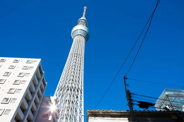 Tokyo Skytree Widok Wieży Górę Dolny Widok Tokio Drzewa Nieba — Zdjęcie stockowe