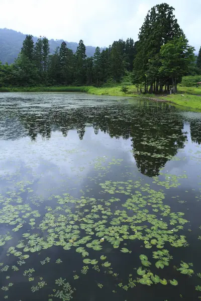 Lago Verdes Montañas — Foto de Stock