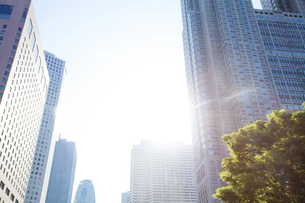 Japonya 'da Tokyo şehri silueti