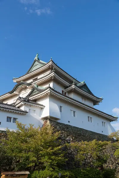 Wakayama Castle Wakayama Japan — Stock Photo, Image