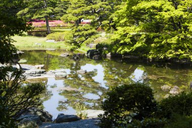 Japon bahçe gölet ile 