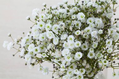 Açık arkaplanda güzel beyaz çiçekler.