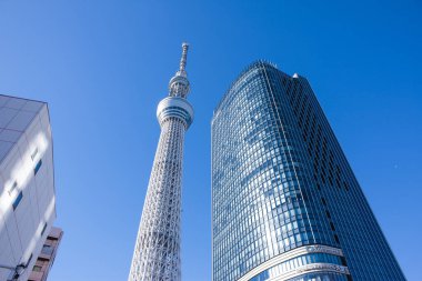 Tokyo Skytree ve Tokyo Skytree Doğu Kulesi Sumida Ward, Tokyo, Japonya 'da açık mavi gökyüzüne karşı 