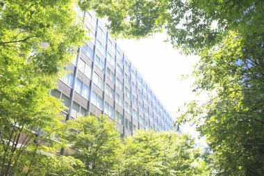 Mavi gökyüzü üzerinde ağaçlar ve gökdelenler 