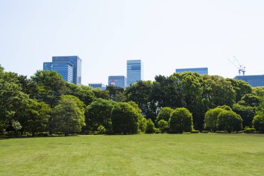 Şehirdeki gökdelenlerin önündeki yeşil ağaçlar