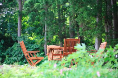 Bahçedeki sandalyeli ahşap masa.