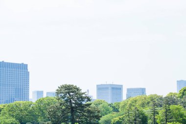 Şehirdeki gökdelenlerin önündeki yeşil ağaçlar