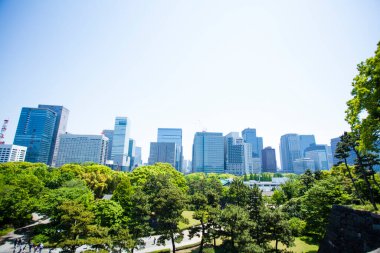 Şehirdeki modern bina ve yeşil ağaçlar 