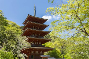 Hasedera tapınağındaki geleneksel ahşap tapınak, Nara, Japonya