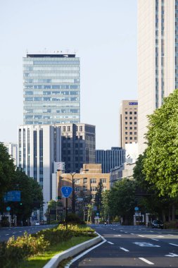 Şehir caddesinde ağaçları olan modern binalar. 