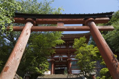 Tarihi bir Japon tapınağının güzel bir fotoğrafı..