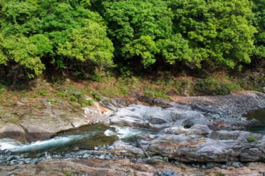 beautiful landscape with river in the mountains     