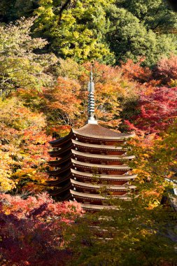 Tanzan Tapınak sonbahar, Nara-Ken, Japonya