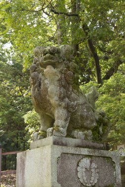 Şehirdeki taş aslan heykeli manzarası
