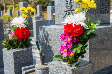 Parktaki eski taş mezarlığın manzarası