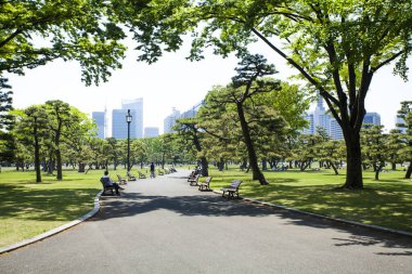 yeşil ağaçlar ve modern binalar 