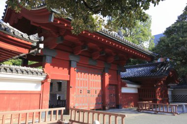 Güzel Japon tapınağı, Budizm konsepti