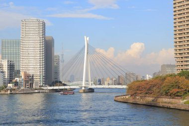 Sumida Nehri ve köprüsü. Tokyo, Japonya.