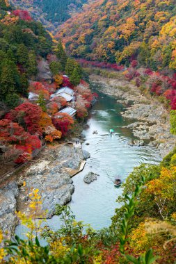 Sonbahar dağlarında nehir. Japonya.