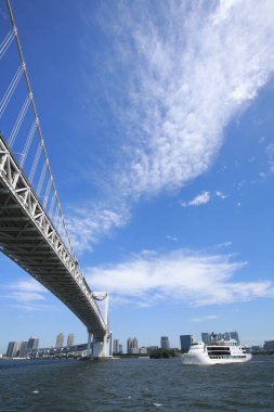 Düşük açılı Tokyo gökkuşağı köprüsü ve şehrin ufuk çizgisi                   