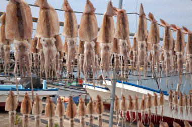 Balıkçı teknelerinin yanında kurumuş mürekkep balıkları asılı.
