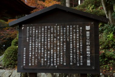 Şehir parkındaki Çince sembollü isim levhasının görüntüsü