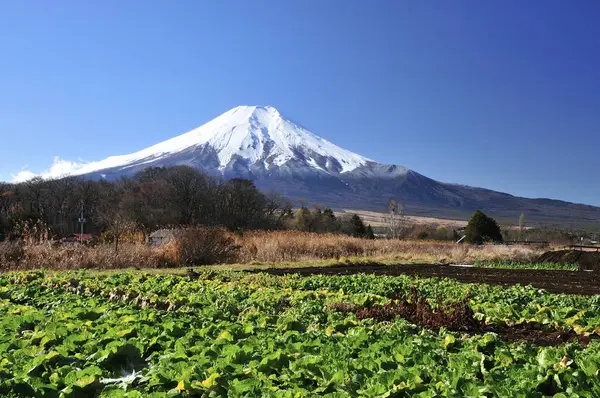 日本の素晴らしい山富士ブルースカイ — ストック写真