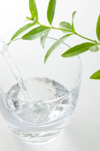 Glass Water Green Leaves Background Close — Stock Photo, Image