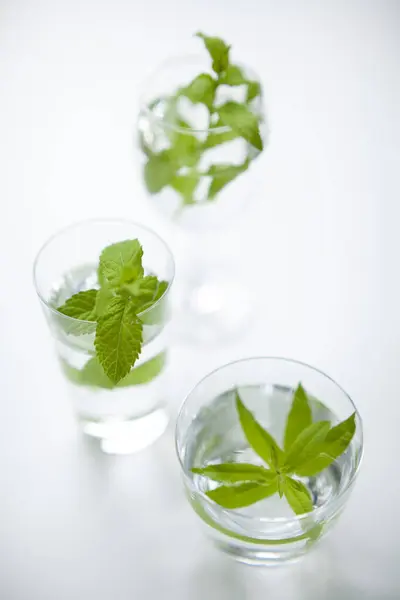 mint tea with ice and mint leaves. mint leaves.