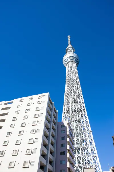 Tokyo Skytree Uppåtutsikt Över Tornet Botten För Tokyo Himmel Träd — Stockfoto