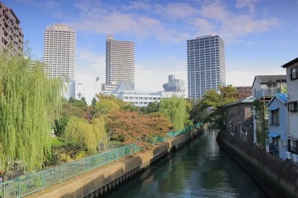 Sumida River Skyline Van Stad Tokio Japan — Stockfoto