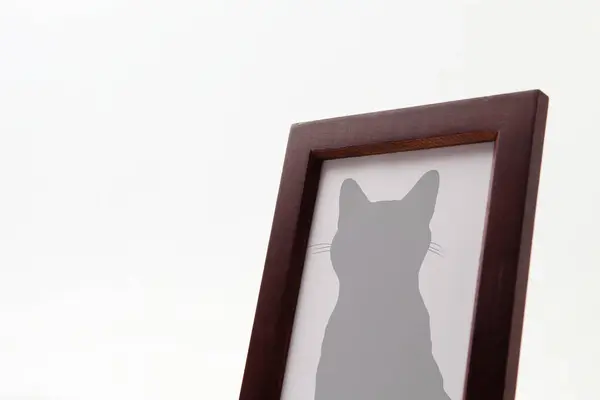 Family Pet Cat Portrait Wooden Frame — Stock Photo, Image