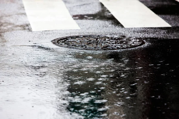Regn Droppar Gatan Bakgrunden — Stockfoto