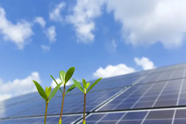 Green Plants Solar Panel Sky Background Energy Sun — Stock Photo, Image