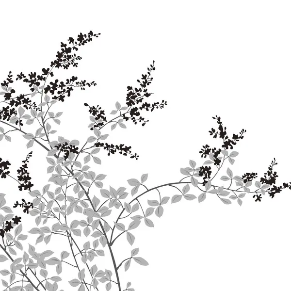 Czarne Białe Tło Kwiatami — Zdjęcie stockowe