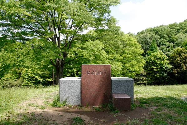 Старый Каменный Памятник Парке — стоковое фото