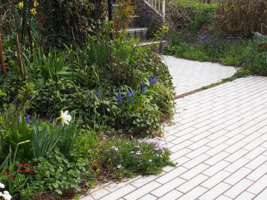 Bahçedeki güzel çiçekler ve bitkiler