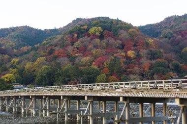 Japonya 'da nehir boyunca köprü. Sonbahar sezonu