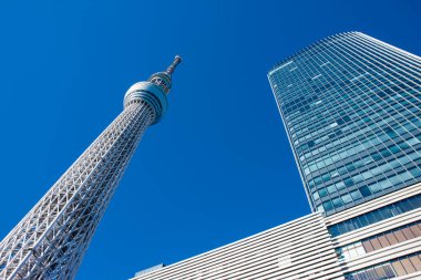 Tokyo Skytree ve Tokyo Skytree Doğu Kulesi Sumida Ward, Tokyo, Japonya 'da açık mavi gökyüzüne karşı 