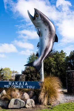 balık iç çekişi görünümü 