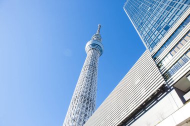 Tokyo Skytree ve Tokyo Skytree Doğu Kulesi Sumida Ward, Tokyo, Japonya 'da açık mavi gökyüzüne karşı 