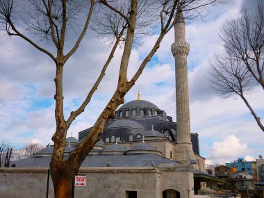 İstanbul hindisi - 16 Nisan: Yeni yılda Hagia Camii.