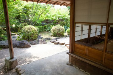 Yeşil bitkiler ve taşlarla Japon geleneksel bahçesinin güzel manzarası                 