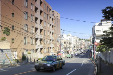 Tokyo, Japonya 'da yeşil ağaçları olan güzel bir şehir caddesi. 