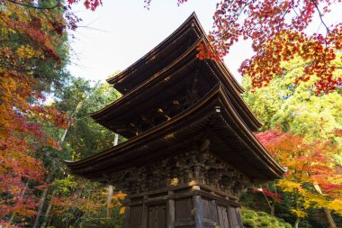 Çarpıcı antik bir Japon tapınağının resimli görüntüsü.