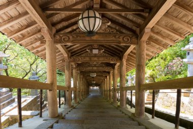 Hasedera Tapınağı Tırmanma Koridoru, Japonya