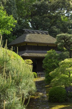 Güzel, tarihi bir Japon tapınağının huzurlu manzarası