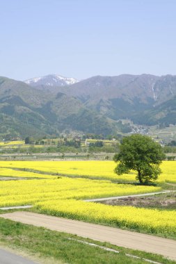 Dağlarda kırsal görünümü
