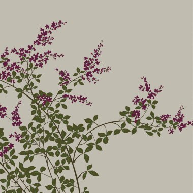 Dalların ve çiçeklerin renkli çizimi 